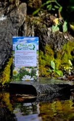 Sprečavanje alergije na polen