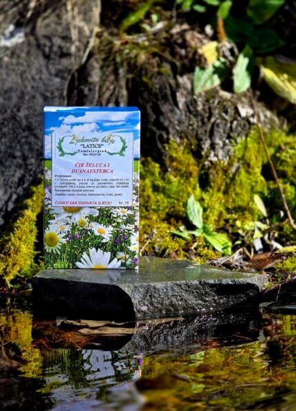 Čir želuca i dvanaesterca