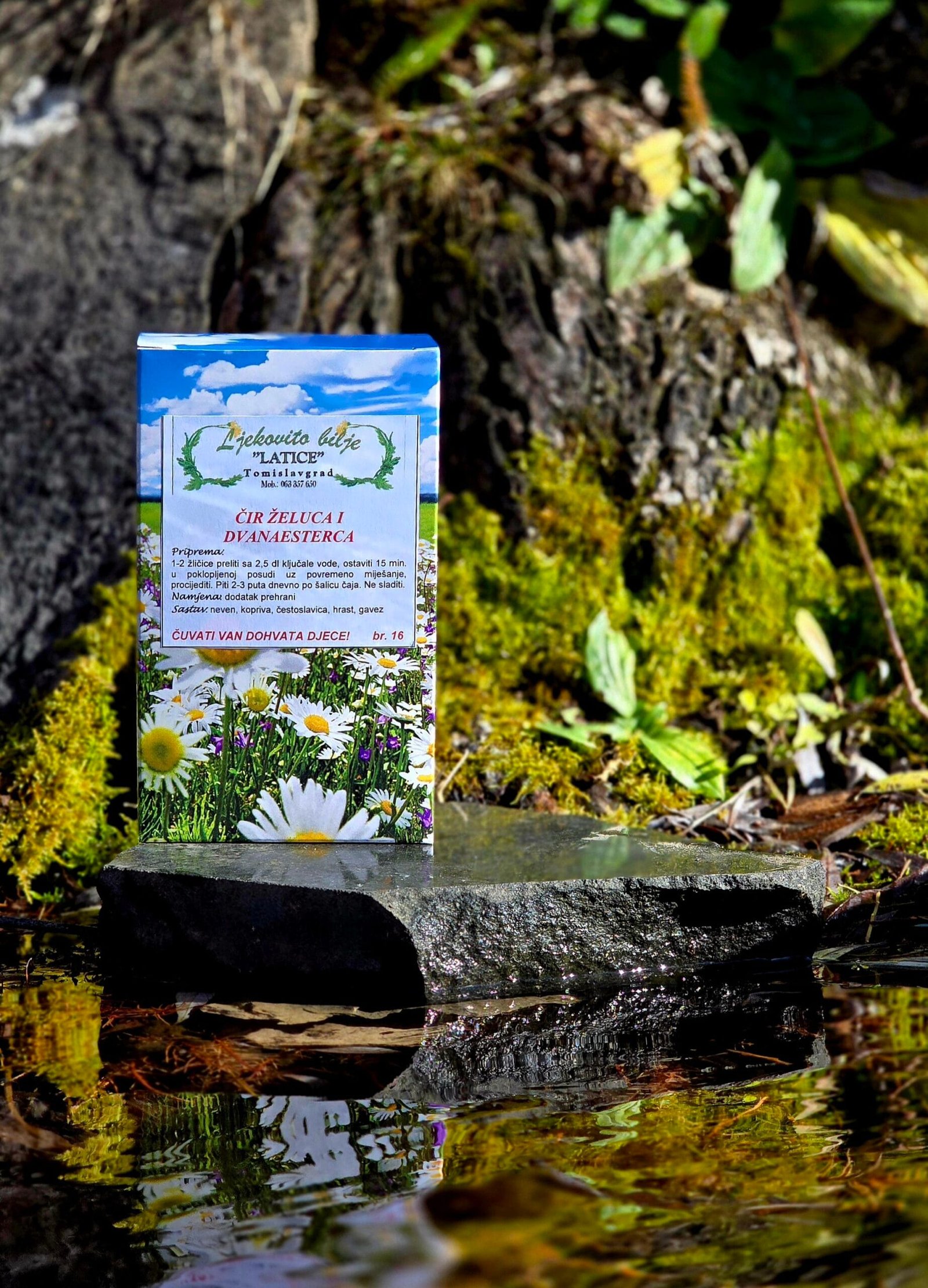 cir zeludca Čir želuca i dvanaesterca - Slika 1