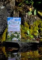 Kamenac i pijesak u bubregu