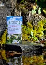 Neredovite i nepravilne mjesečnice