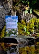 Čaj za mršavljenje