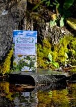 Upala mokraćnih kanala