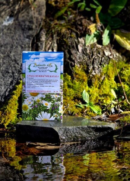 Upala mokraćnih kanala