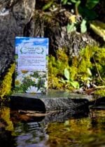 Žučni kamenci i pijesak